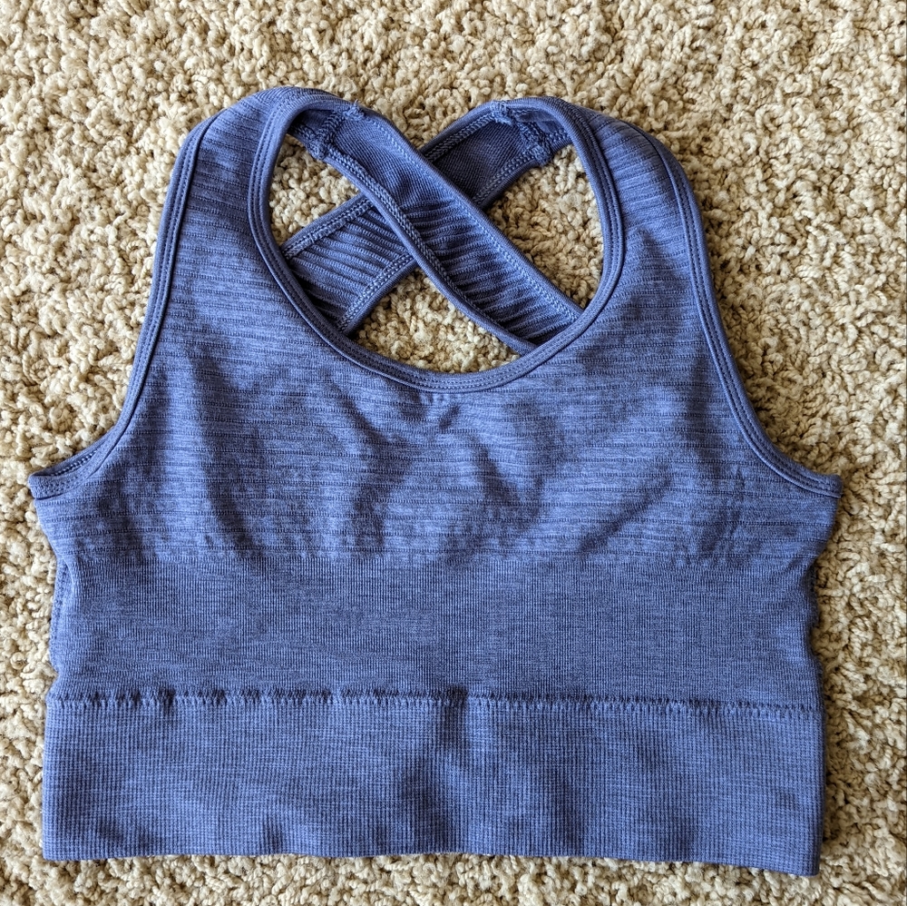 Alphalete French Blue Vault Bra